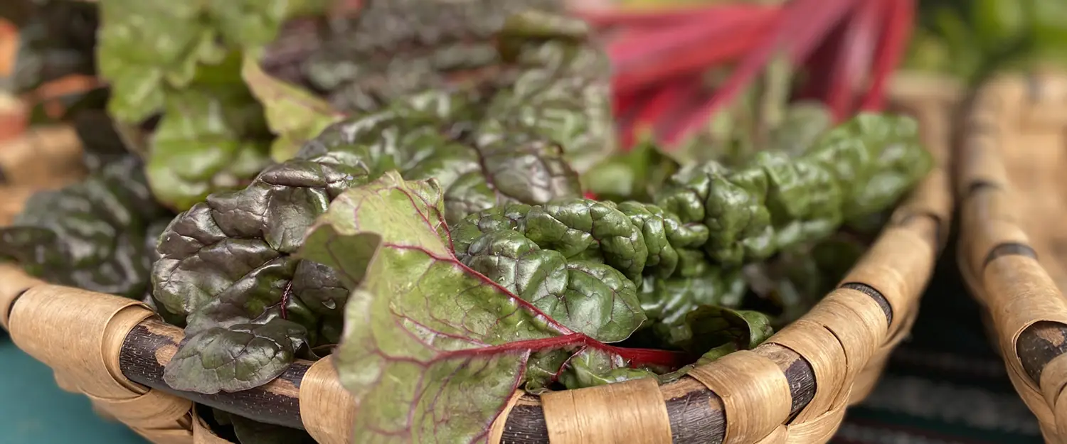 Espinaca roja ecológica de La Rioja